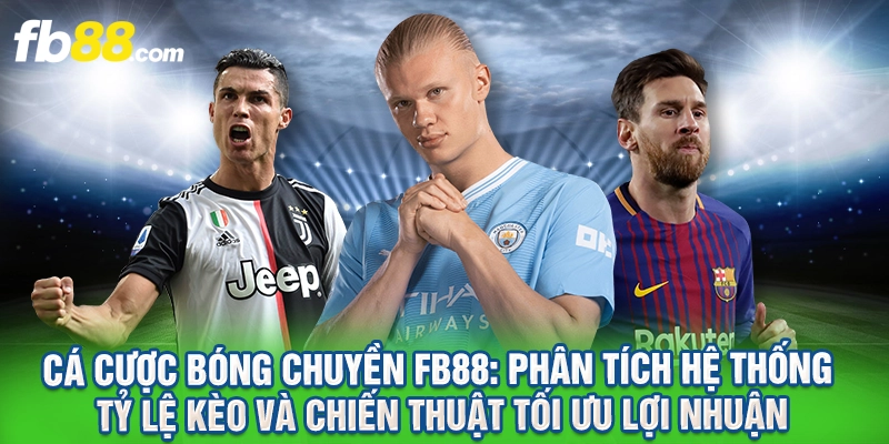 Cá Cược Bóng Chuyền FB88 Với Chiến Thuật Tối Ưu Lợi Nhuận